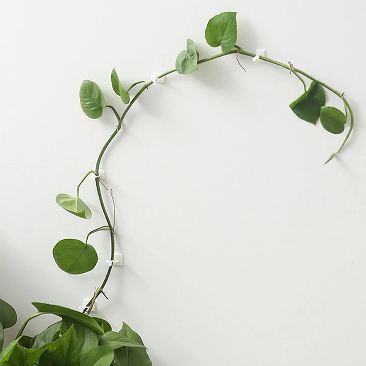 Garden Trellis Plant Iron Climbing Plant Support With Black Rust Proof Coating For Indoor Flower Vine Trellis For Decoration