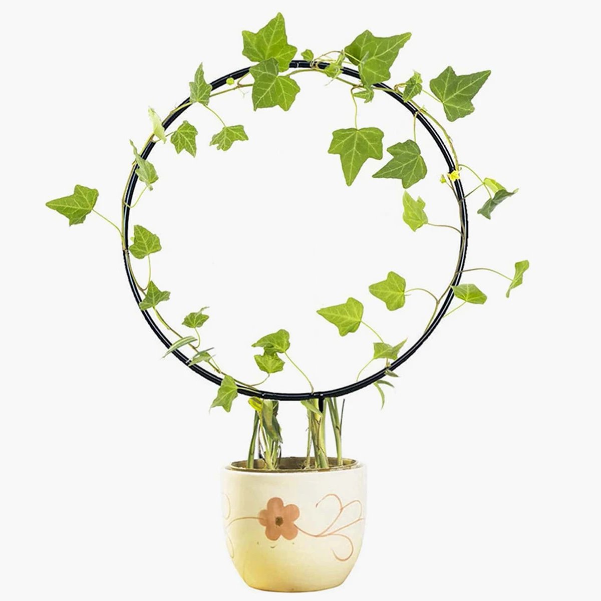 Garden Trellis Plant Iron Climbing Plant Support With Black Rust Proof Coating For Indoor Flower Vine Trellis For Decoration