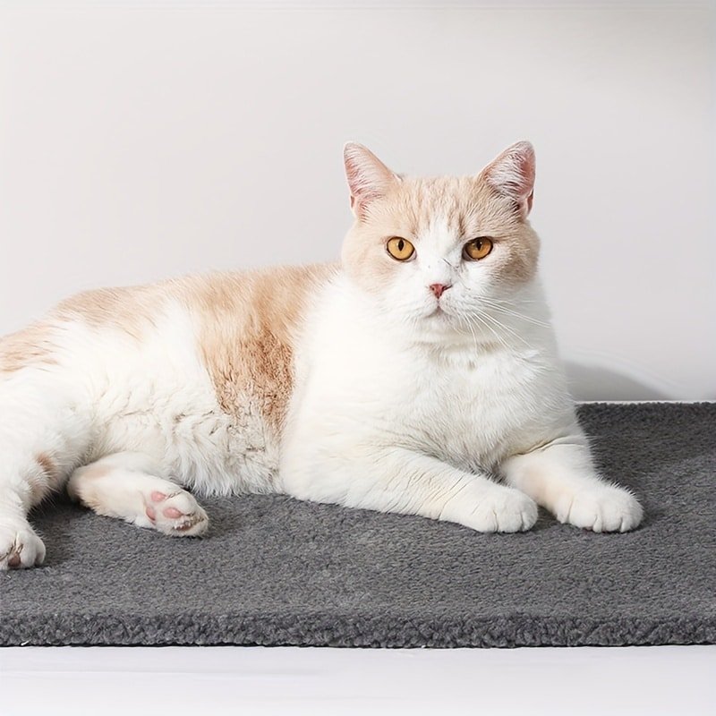 Self Warming Cat Bed Self Heating Cat Dog Mat Extra Warm Thermal Pet Crate Pad For Indoor Outdoor Pets With Removable Cover