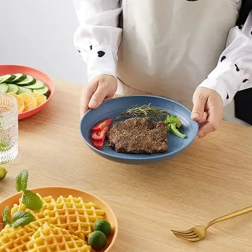 Wheat Straw Plates Set Alternative for Plastic Plates Dishwasher & Microwave Safe Wheat Straw Dinnerware Sets Mix Colors